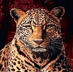 طرح پلنگ تیشرت پنبه ای یقه گرد